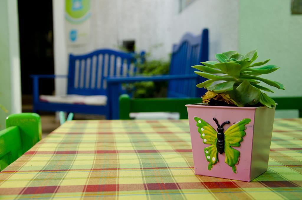 Hostal Los Aventureros 산타 크루즈 드 라 시에라 외부 사진